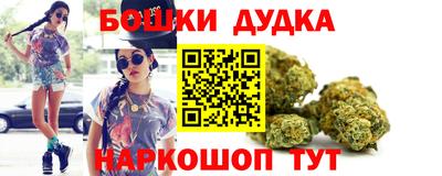 гидра Кандалакша