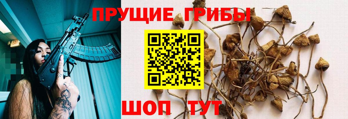 Галлюциногенные грибы ЛСД Красный Сулин